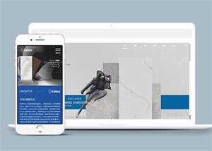 品牌建材瓷砖网站前端模板下载 - 天能资源