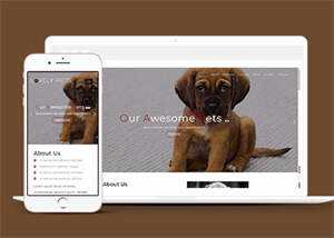 简洁宠物饲养单页HTML模板下载 - 天能资源