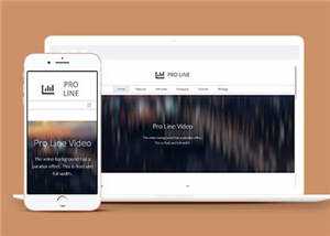 简约专业服务信息在线企业网页模板下载 - 天能资源