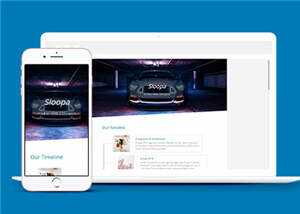 简约产品发展动态展示企业网页模板下载 - 天能资源