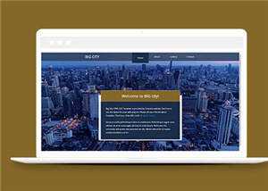 都市切换介绍企业网页源码模板 - 天能资源