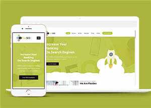 绿色排名优化公司源码模板下载 - 天能资源