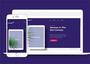 响应式电子书企业官网网站模板 - 天能资源