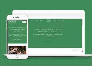 响应式多肉植物种植网站模板下载 - 天能资源