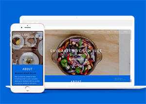 大气美食制作类网站模板下载 - 天能资源