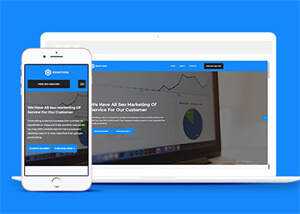 SEO优化团队类网站模板下载 - 天能资源