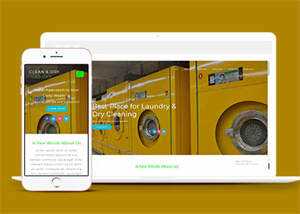 响应式洗衣机维修点网站模板 - 天能资源