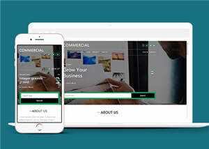 简洁商业贸易服务展示HTML网页模板下载 - 天能资源