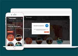 响应式鸡尾酒公司网站模板 - 天能资源