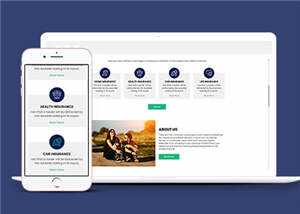 保险公司官方HTML网页模板下载 - 天能资源