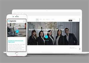 宽屏商务公司CSS3模板下载 - 天能资源
