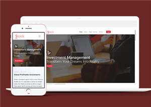 简洁股票金融分析团队HTML网页模板下载 - 天能资源