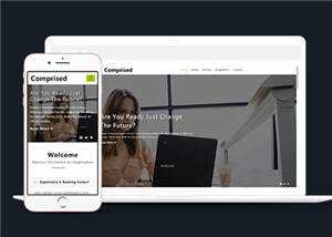 宽屏企业合作商务展示源码模板下载 - 天能资源