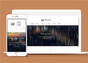 简洁专业服务信息在线响应式网页模板下载 - 天能资源