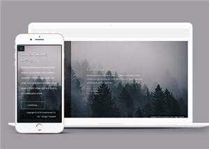 简洁公司产品动态单页面响应式网页模板下载 - 天能资源