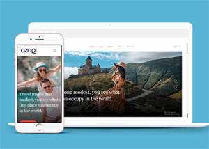 多用途的图文展示博客模板 - 天能资源