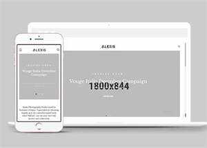 简洁大气摄影作品展示网站模板 - 天能资源