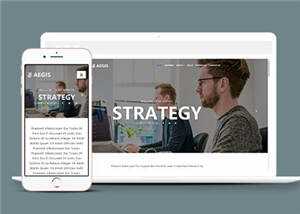 教育机构介绍动态响应式网站模板下载 - 天能资源