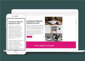 简洁商务创造营销服务响应式网页模板下载 - 天能资源