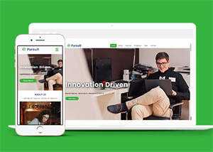 大气创新企业宽屏网站模板下载 - 天能资源