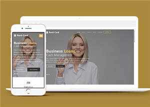 宽屏商业信贷服务公司响应式网站模板下载 - 天能资源