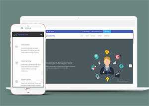 简洁项目外包企业网站模板下载 - 天能资源