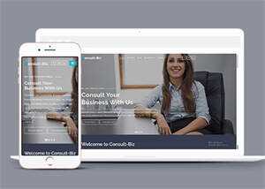 简洁专业投资顾问网站模板下载 - 天能资源