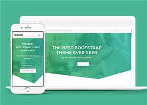 宽屏绿色产品信息展示响应式网站模板下载 - 天能资源