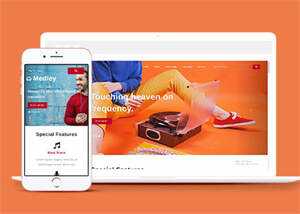 简洁耳机生产企业网站模板下载 - 天能资源