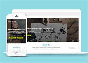 宽屏企业创新设计网站模板下载 - 天能资源