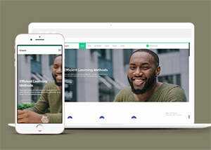 成人高等学校招生网站模板源码 - 天能资源