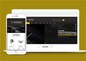 简洁响应式灯具公司前端模板下载 - 天能资源