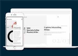 宽屏创意展示动态响应式网站模板下载 - 天能资源