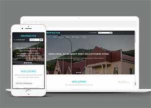 宽屏国外别墅展示类网站模板 - 天能资源