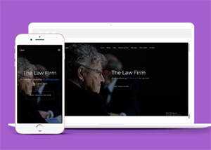 美国律师事务所企业网站模板源码 - 天能资源