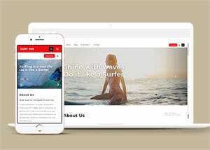 简洁海上冲浪HTML网页模板下载 - 天能资源