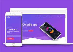 宽屏APP项目展示响应式网页模板下载 - 天能资源