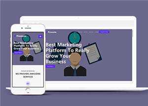 简约业务服务展示响应式网页模板下载 - 天能资源