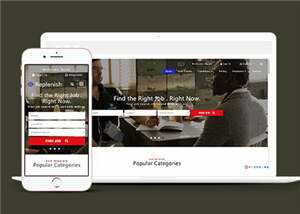 简洁企业求职展示公布源码模板下载 - 天能资源