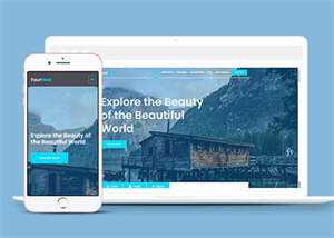 浅蓝色旅游订票网站模板下载 - 天能资源