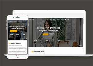 宽屏网站设计服务响应式网站模板下载 - 天能资源