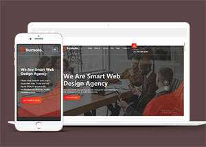 web软件应用开发公司网站模板 - 天能资源