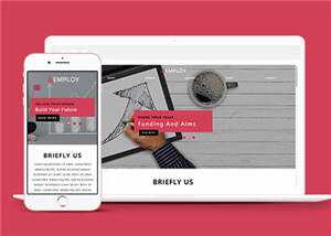 宽屏数据分析服务公司源码模板下载 - 天能资源