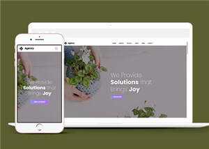 简约创意商业解决方案动态响应式网页模板下载 - 天能资源