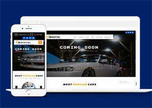 二手豪车销售官网网站模板下载 - 天能资源