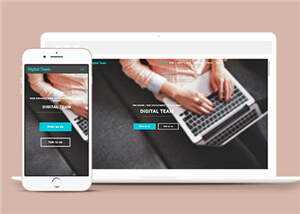 简洁数字团队服务展示响应式网页模板下载 - 天能资源