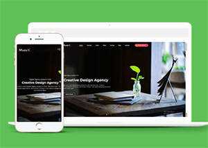 宽屏创意设计机构网站模板下载 - 天能资源