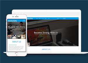 简洁企业咨询服务展示HTML网页模板下载 - 天能资源