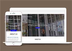 简约公司项目解决方案HTML网页模板下载 - 天能资源