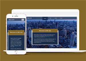 宽屏都市切换介绍响应式网页模板下载 - 天能资源